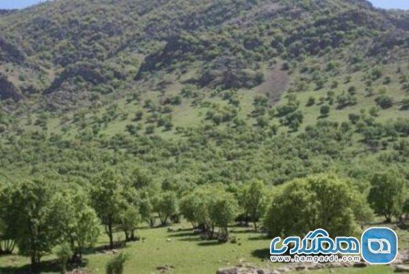 ابلاغ مراتب ثبت ملی هفت اثر طبیعی به استاندار کردستان