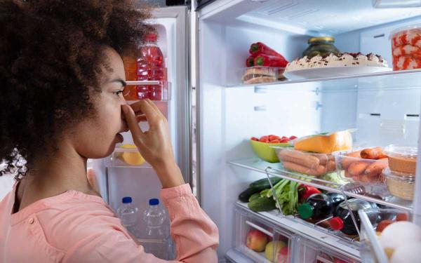 خراب شدن مواد غذایی در یخچال را جدی بگیریم!