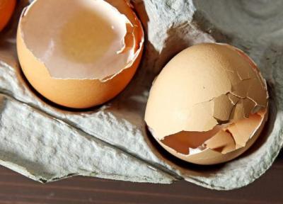 عجایب تخم مرغ! ؛ پوست تخم مرغ را دور نیندازید ، خواص شگفت انگیز پوست تخم مرغ